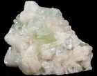 Zoned Apophyllite Crystals on Stilbite Association - India #44446-1